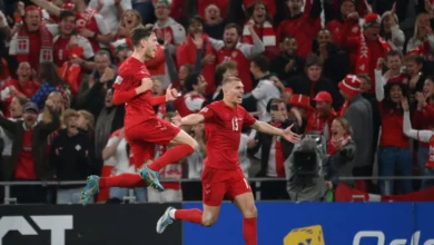 المنتخب الدنماركي رائع