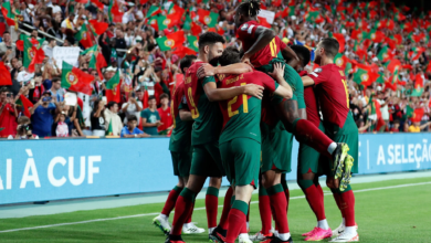 لاعبو البرتغال يحتفلون بأحد الأهداف العديدة
